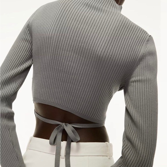 Aritzia Babaton Sculpt Knit Tie-Back Longsleeve in Grey - Picture 4 of 9